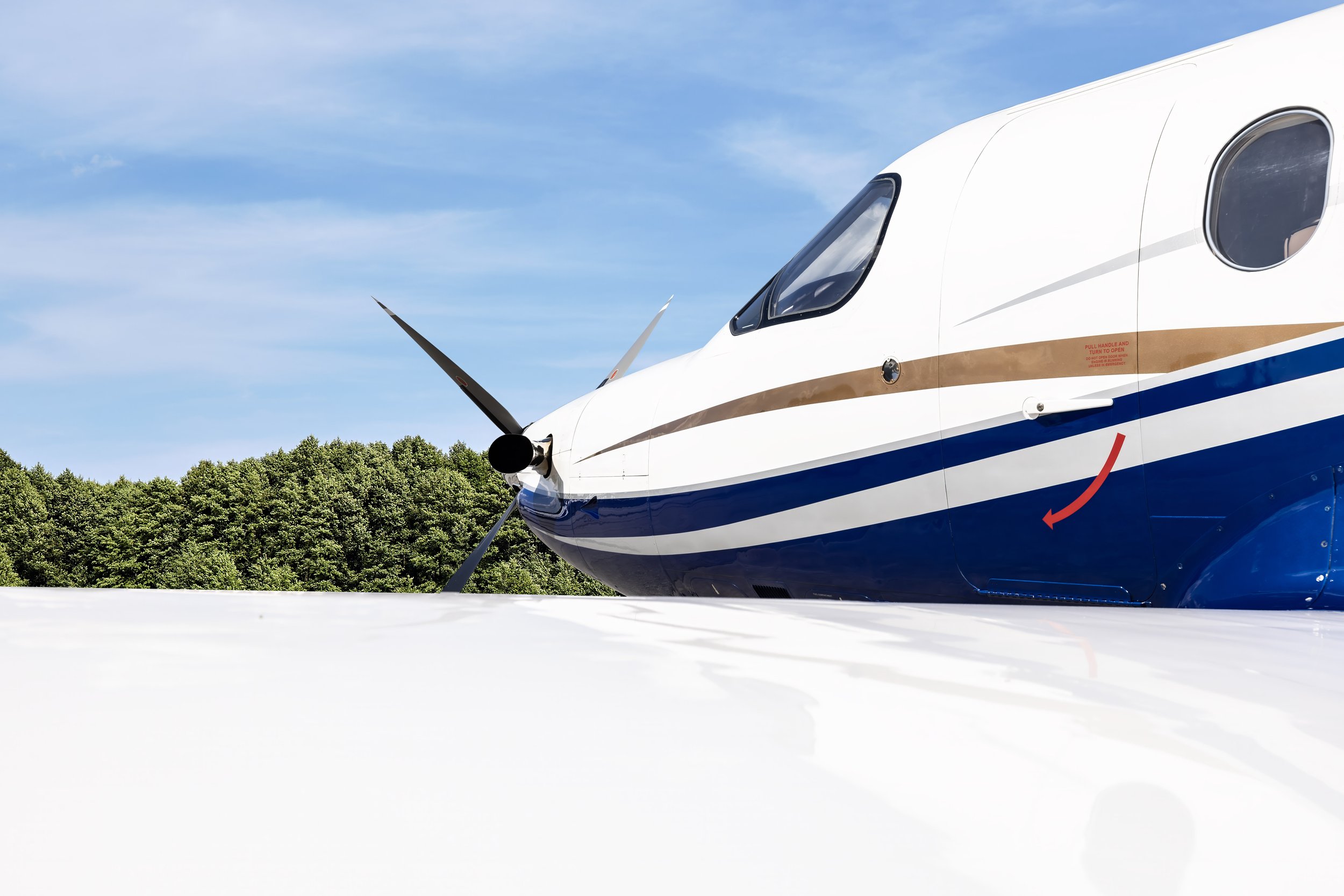 1996 Pilatus PC-12/45 - Image 15