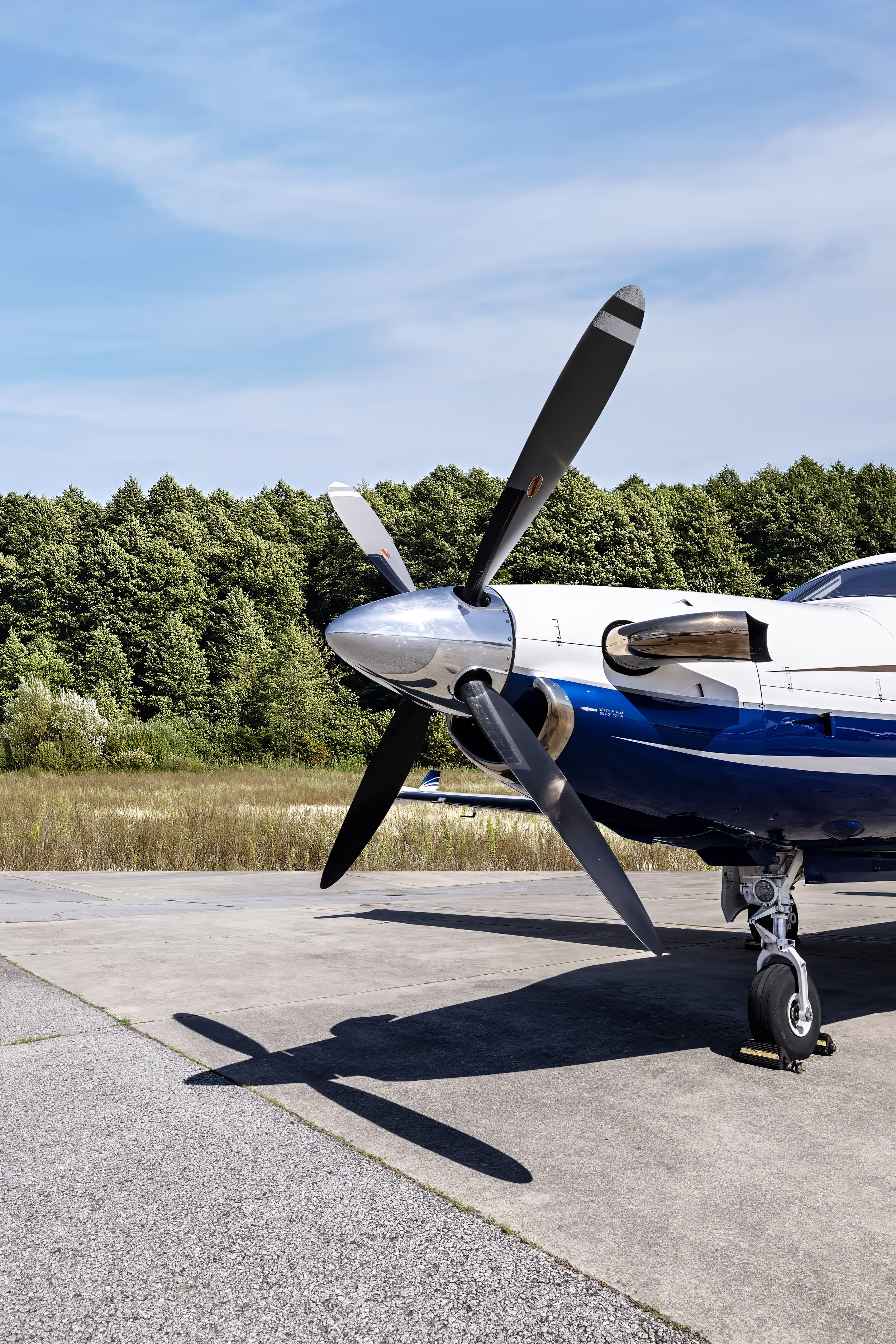 1996 Pilatus PC-12/45 - Image 17